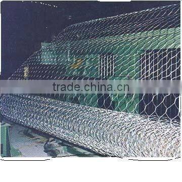 hot sale and high quality hexagonal wire mesh chicken wire netting