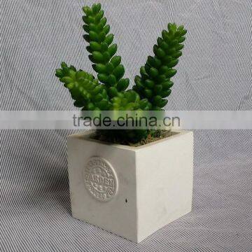 Cheap fake plants,artificial plant