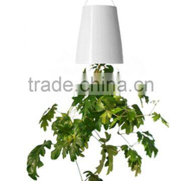 Magic Sky Planter Plastic Flower Pot Hanging Planter Plastic Flower Pot Supplier From China photo-3