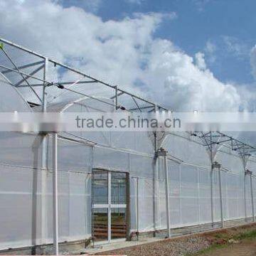 Large Size Agricultural Plastic Film Greenhouse for Planting Vegetable photo-2