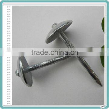 Electro Galvanized Roofing Nails/Umbrella Nails Factory