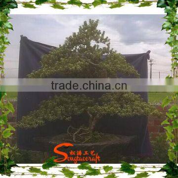 ANTIQUE ARTIFICIAL POTTED TREE CHINESE BONSAI PINE TREE LOOKS REAL photo-4