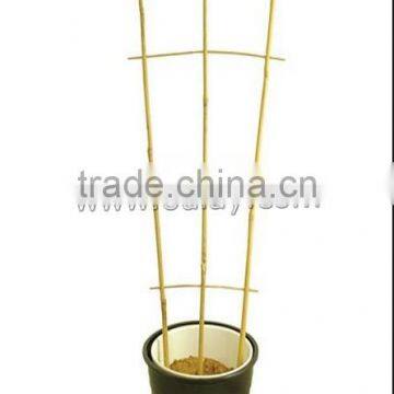 Thick Walled Cheap Tonkin Bamboo Poles Wholesale for Plants