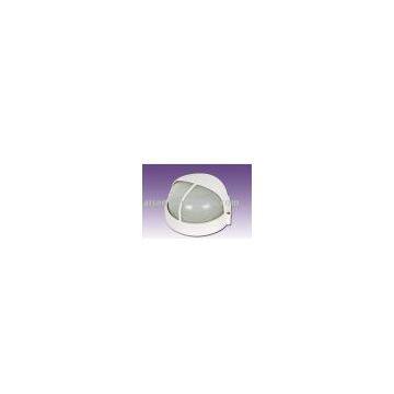 BULKHEAD LIGHT