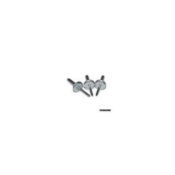 Large Flange Blind Rivet