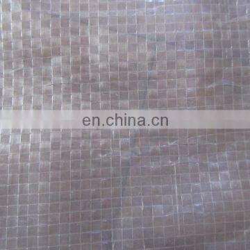 Durable transparent pe tarpaulin, clear mesh pe tarpaulin fabric