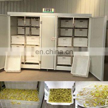 healthy edible mung bean sprout making machine