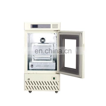 glass door deep Vertical freezer with locking door