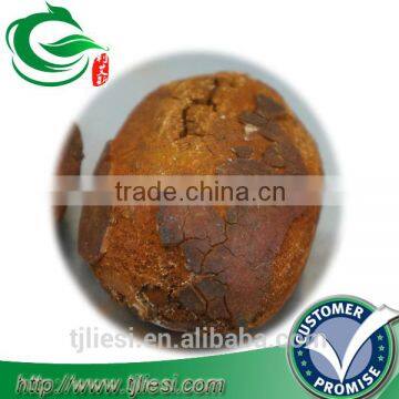 supply ox gallstones cattle gallstones cow gallstones