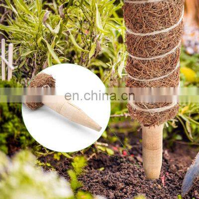 Best Seller Multi Functional Extendable Large Totem 12 Inch Stackable Coir Moss Pole