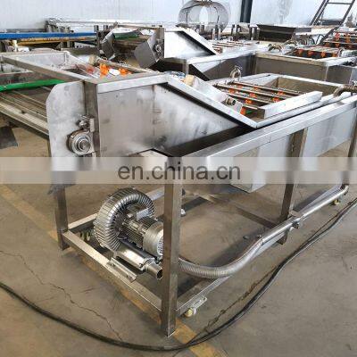 High Quality Home Commercial Stainless Steel 304 Industrial Fruit Ozone Water Bubble Leafy Vegetable Washing Machine photo-4