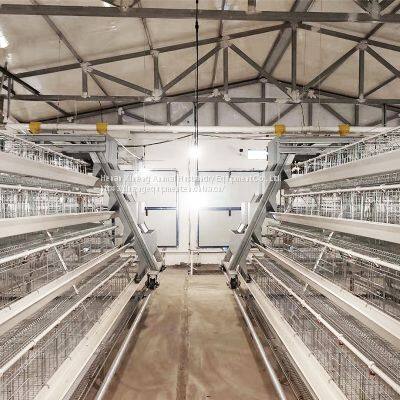 Poultry Farming Equipment Automatic Chicken Battery Cage photo-5