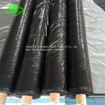 30mic Plastic Mulch Film for Strawberry photo-5