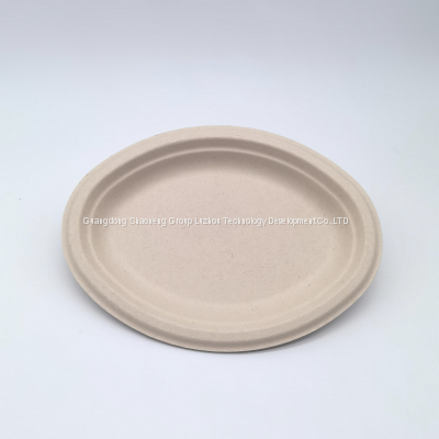 10 Inch Sturdy Greaseproof Microwavable Compostable Disposable Bamboo Fiber Restaurant Party Paper Plate Biodegradable photo-4