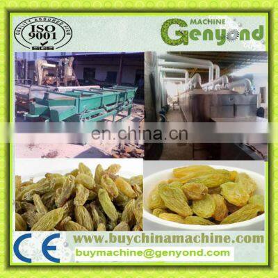 Raisin Cleaning Machine for the Raisin Processing photo-2