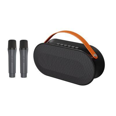 High Quality 30W DSP Loudspeaker Microphone Portable Bluetooth Rechargeable Wireless Karaoke MachineSpeaker with Mic