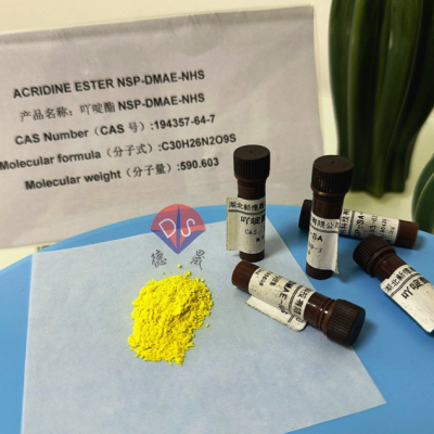 Stability and precautions of acridine ester (NSP-SA-NHS)