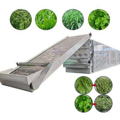 Máquina de secagem industrial automática de forragem animal de aveia e grama em esteira de malha