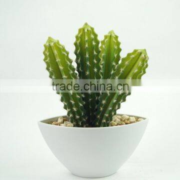 Factory Price Hot Sale Plastic Bonsai Home Artificial Cactus Plants