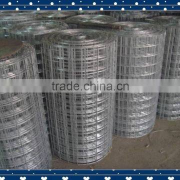 galvanized welded wire mesh best price high quality manufacture factiry supply