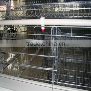 Best Selling Hen House Design With Full Automatic System photo-2