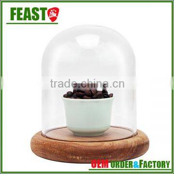 High Borocilicate Clear Glass Bell Jar With Wooden Base Mini Glass Dome