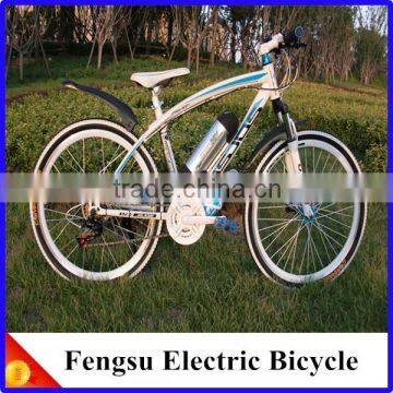 HIgh Quality Fengsu Electric Bicycle 36V 8Ah Lithium Battery