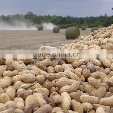 Peanuts (Ground Nuts)