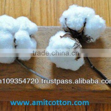 RAW COTTON S-6