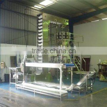 Z-type 4L volume bucket elevator for snack food