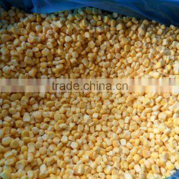 2015 best quality frozen sweet corn