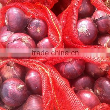 Fresh Red Onion