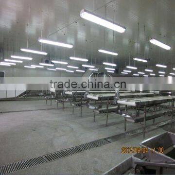 YTF type no damage cherry sorting /grading line/sieving machine/sorting machine/ sorter/ classifier/
