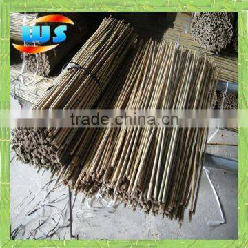 Green bamboo stick