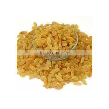 Raisins photo-2