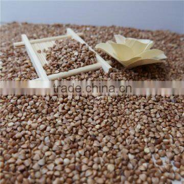 Best Quality Roasted Buckwheat Kernel photo-2