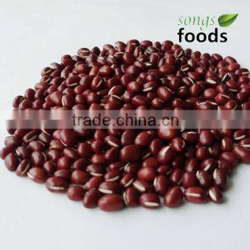 HPS Small Red Kidney Beans