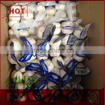 Chinese new crop fresh garlic for sale