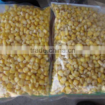 Frozen type IQF Sweet whole kernel corn