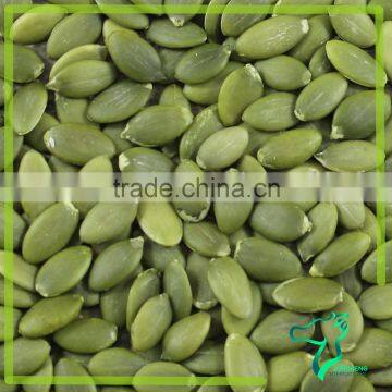 White Pumpkin Seeds Kernel Wholesale