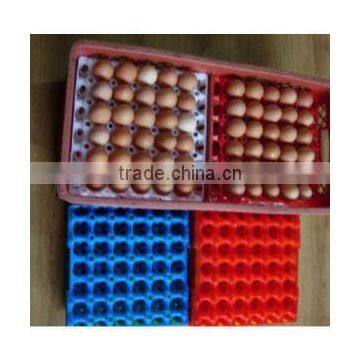 30 capacity plastic egg tray