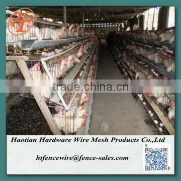 layer poultry farm cages for nigeria/africa