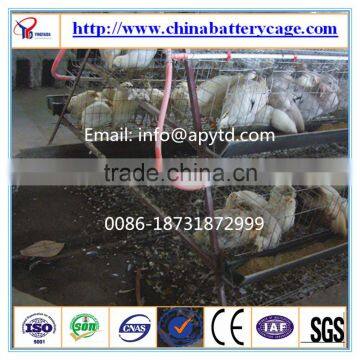 Xi-Broiler rearing feeding system