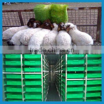 1000kg 500kg per day electric grass making machine