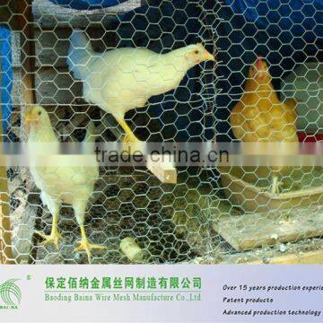 China Supply Samll Hole Pets Poultry Wire Mesh