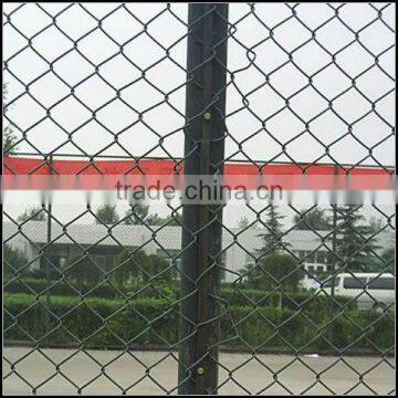 Good elasticity green pvc coated Chain Link Fence for school playground/school yard