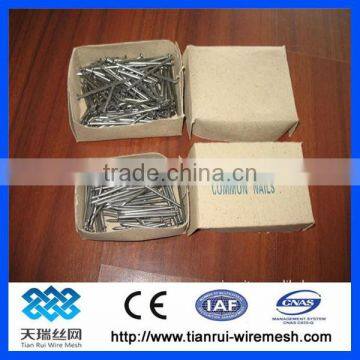 Common Wire Nail/polished Common Nail/bright Common Nail photo-2