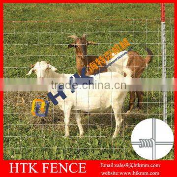 High Tensile 6ft Sheep Wire Mesh Fence (Hot Sale) photo-6