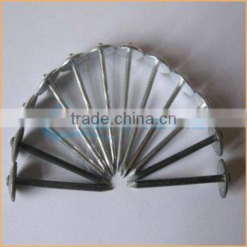 Top Quality Galvanised Roofing Nail With Umbrella Head Trusted Chuanghe Suppliers From Com photo-4