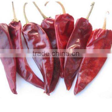 Chilli Without Stem photo-3